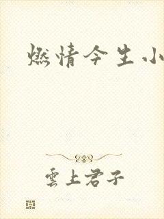 燃情今生小说