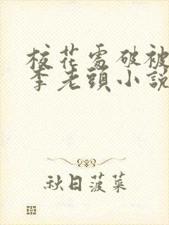 校花处破被灌满李老头小说