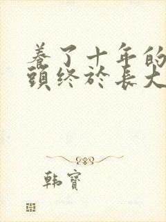 养了十年的小丫头终于长大了