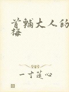 首辅大人的小青梅