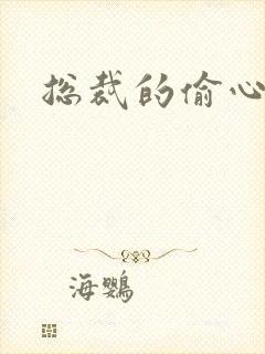 总裁的偷心娇妻