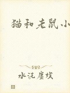 猫和老鼠小说