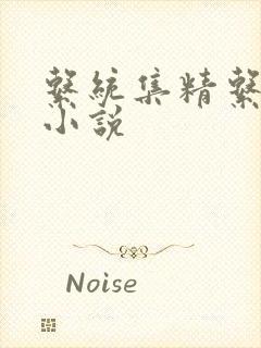 系统集精系统 小说