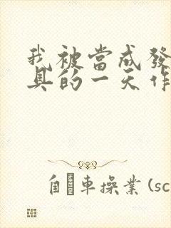 我被当成发泄玩具的一天作文