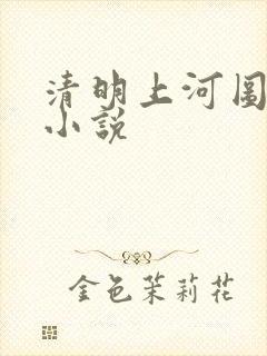 清明上河图密码小说