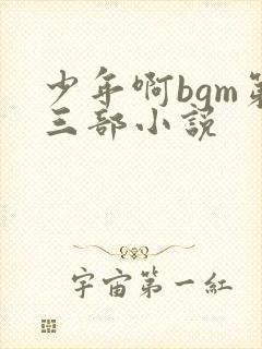 少年啊bgm第三部小说
