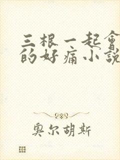 三根一起会坏掉的好痛小说
