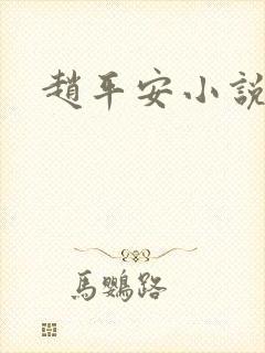 赵平安小说主角