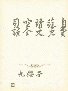 司空靖苏月汐小说全文免费阅读