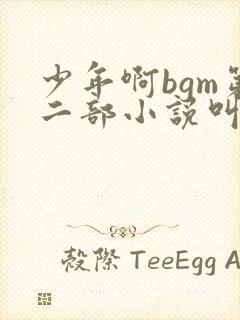 少年啊bgm第二部小说叫什么