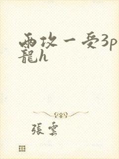 两攻一受3p双龙h