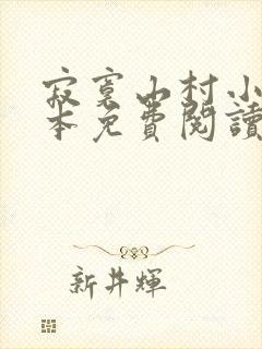 寂寞山村小说全本免费阅读