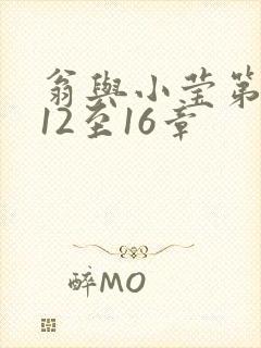 翁与小莹第十部12至16章