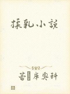 揉乳小说