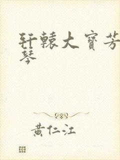 轩辕大宝芳菲雅琴