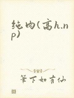 纯肉(高h.np)