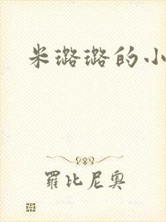 米璐璐的小说