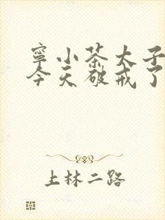 宁小茶太子殿下今天破戒了吗免费阅读