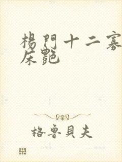 杨门十二寡妇肉床艳