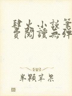 肆火小说笔趣免费阅读无弹窗