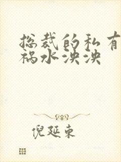 总裁的私有宝贝祸水泱泱