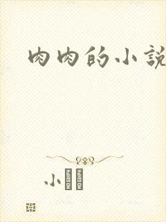 肉肉的小说