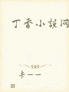 丁香小说网
