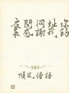 夜间网址你会回来感谢我的