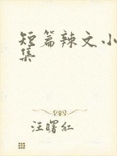 短篇辣文小说合集