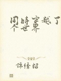 同时穿越了99个世界