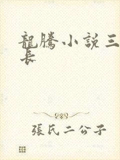 龙腾小说三宝局长