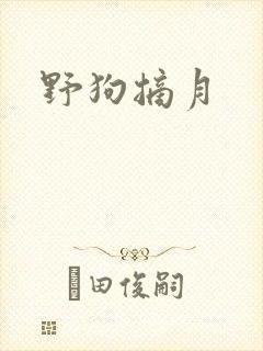 野狗摘月