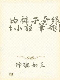 内裤子奇缘txt小说 笔趣阁