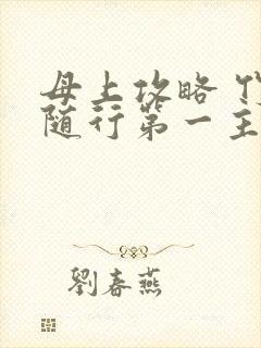 母上攻略 竹影随行第一主板