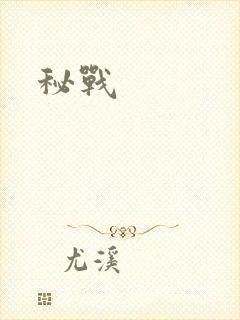 秘战