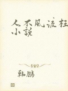 人不风流枉少年小说