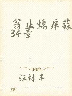 翁止熄痒苏钥第34章