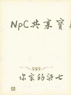 NpC共享宝贝