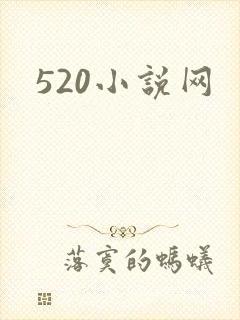 520小说网
