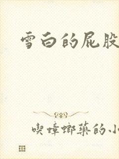 雪白的屁股小说