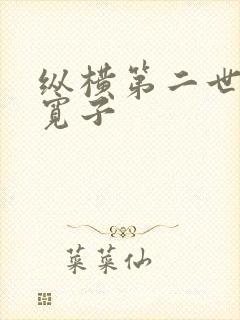 纵横第二世界 宽子