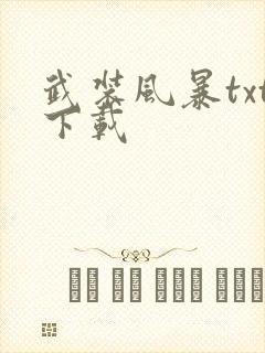 武装风暴txt下载