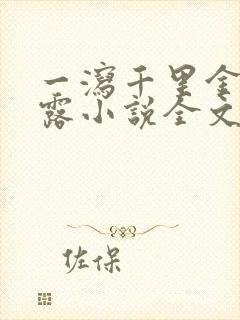 一泻千里金银花露小说全文免费阅读