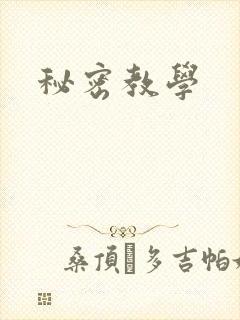 秘密教学