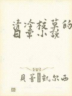 清冷校草的堕落日常小说