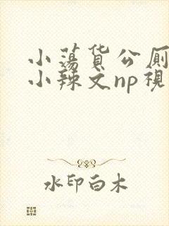 小荡货公厕h文小辣文np视频