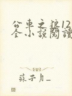 公车之狼12集全小说阅读