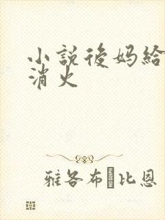 小说后妈给我消消火