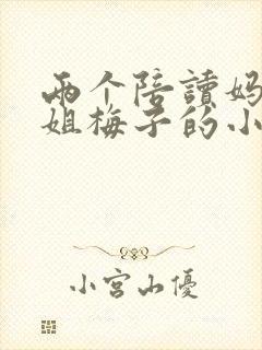 两个陪读妈妈赵姐梅子的小说