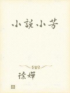 小说小芳